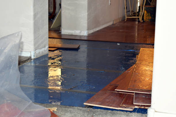 Professional Burst Pipe Cleanup technician working in Marthasville, MO